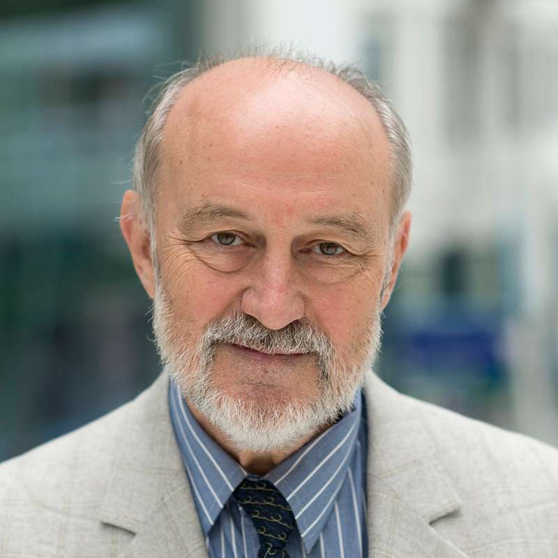 Professor Arnold G. Vulto